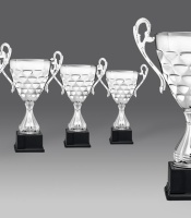 puchary, puchar 5316/1