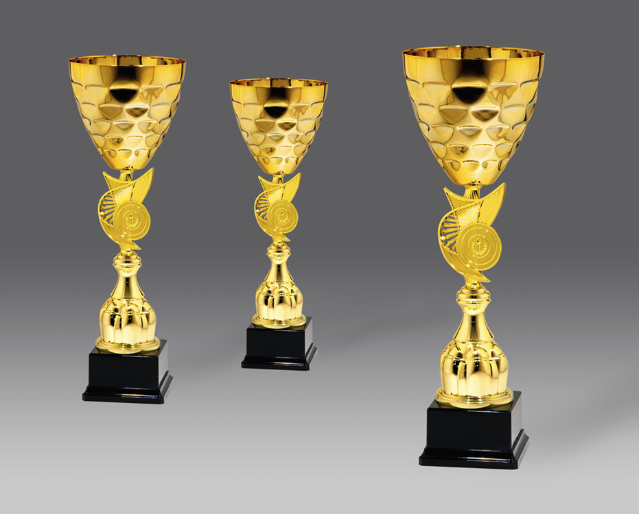 Puchar G26204 3, ø16, h.48 (produkt niedostępny) puchary statuetki medale