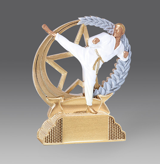 statuetka sztuki walki, karate, h.13 (produkt niedostpny)brb- produkt niedostpny b (stara kolekcja) puchary statuetki medale